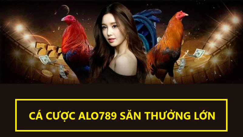 Cơ hội cá cược săn thưởng lớn